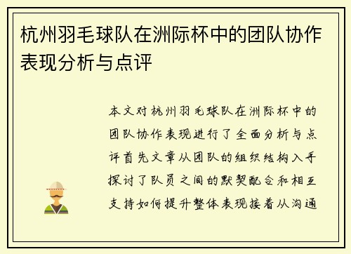 杭州羽毛球队在洲际杯中的团队协作表现分析与点评
