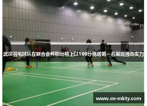武汉羽毛球队在联合会杯积分榜上以100分稳居第一名展现强劲实力
